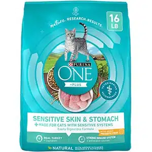 Best Cat Food for Older Cats That Vomit - Updated in 2022 2