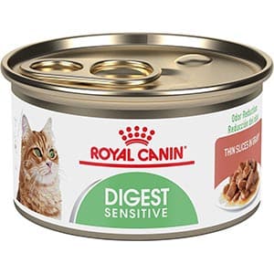Best Cat Food for Older Cats That Vomit - Updated in 2022 1
