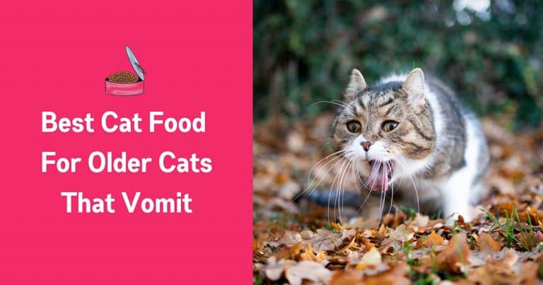 best cat food for older cats that vomit
