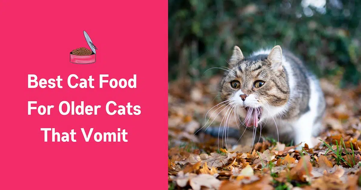 best cat food for older cats that vomit