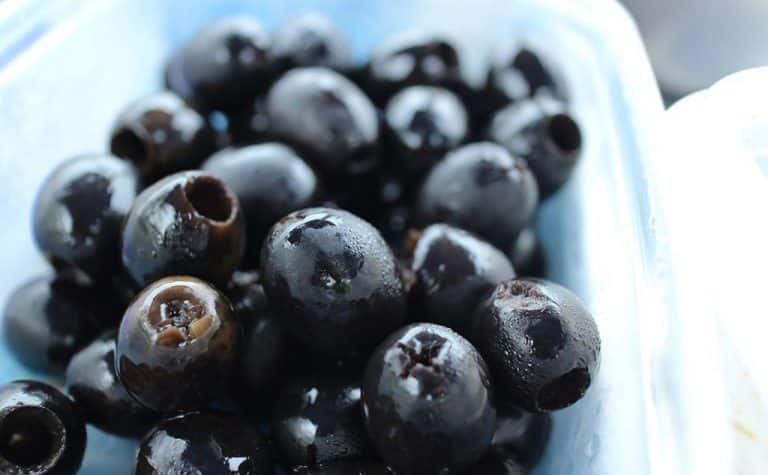 27 Will Cats Eat Black Olives Photos