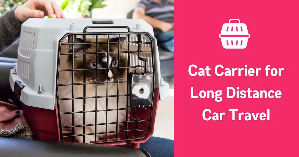 best cat carrier for long distance car travel