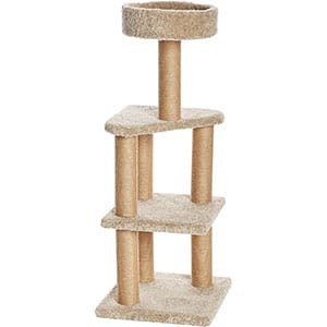 Top 10 Best Cat Scratching Post to File Nails 8
