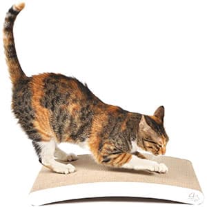 Top 10 Best Cat Scratching Post to File Nails 9
