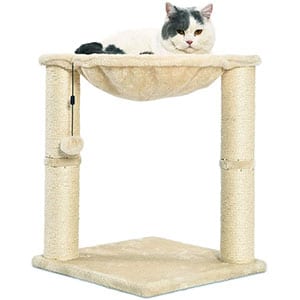 Top 10 Best Cat Scratching Post to File Nails 13