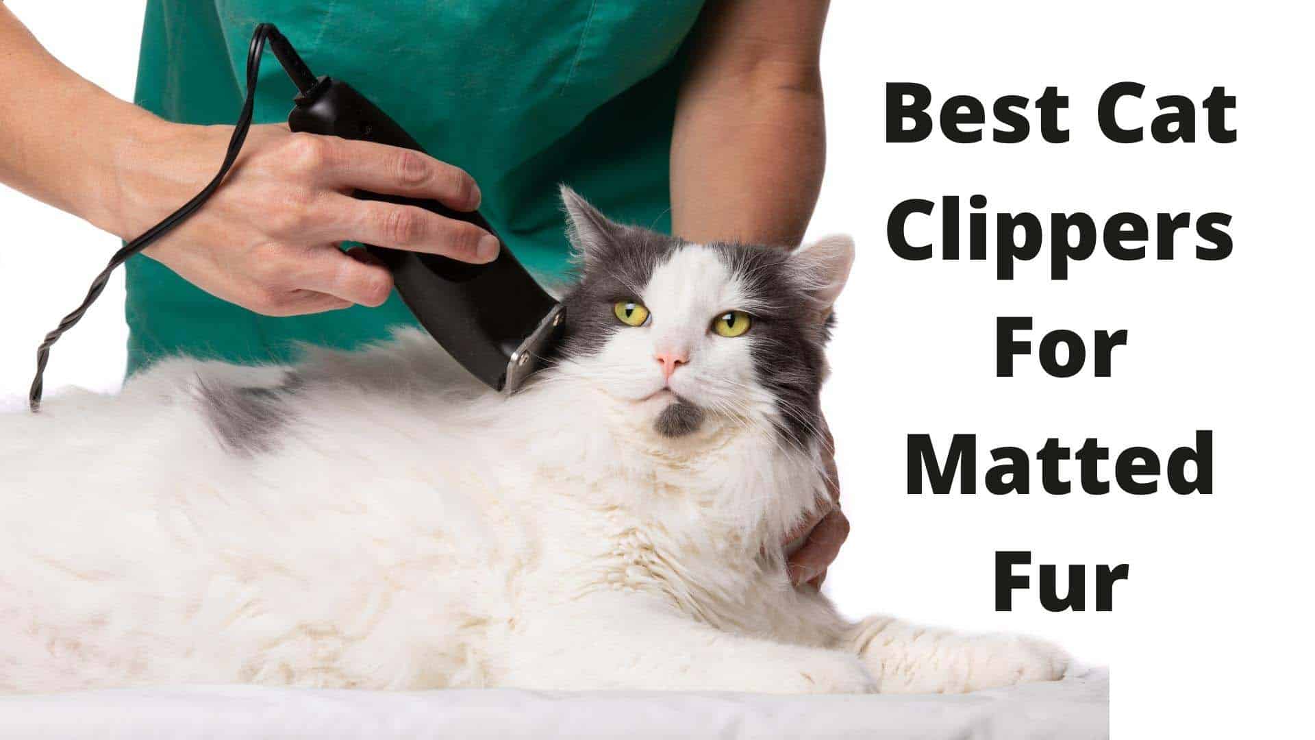 best cat clipper for matted fur