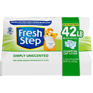 Best Cat Litter For Small Apartment 2
