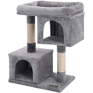 Best Cat Tree For Multiple Cats 2