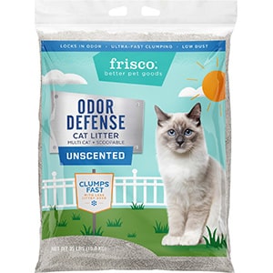 Best Cat Litter For Small Apartment 6