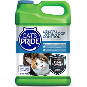 Best Flushable Cat Litter - Everything You Need to Know 8
