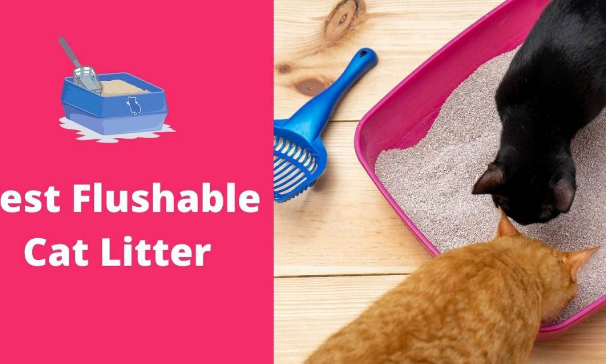 best flushable litter