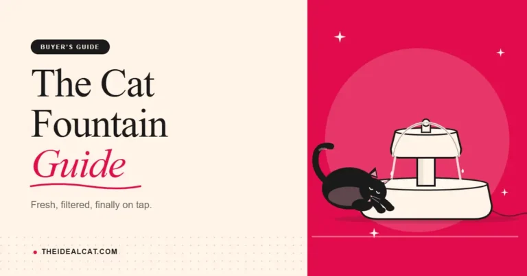 cat fountain