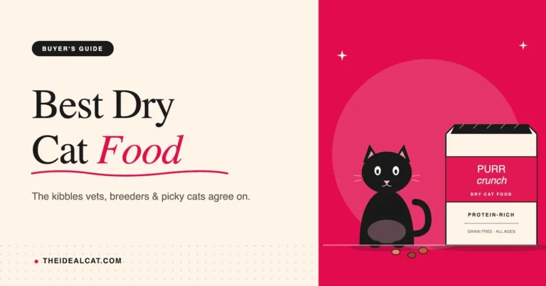 best dry cat food