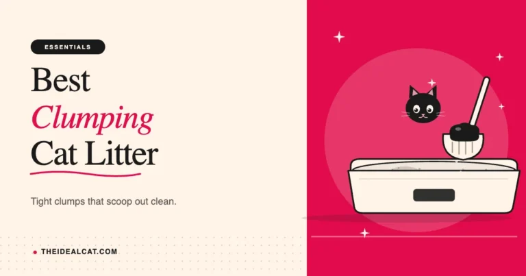 best clumping cat litter