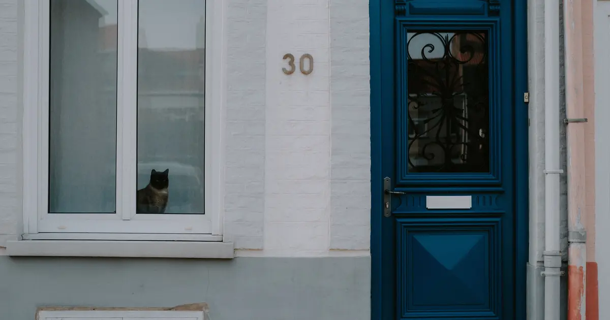 a cat pawing at a door handle