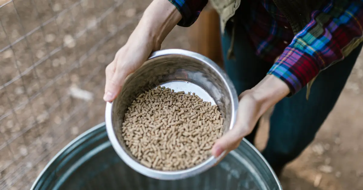 pine pellet cat litter