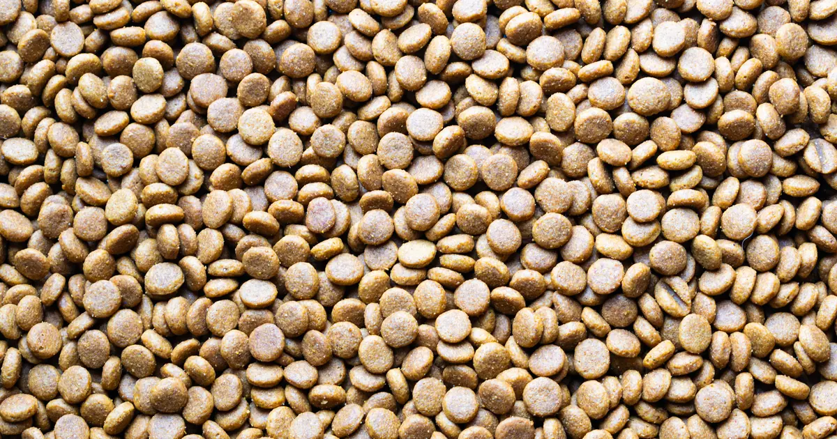 pine pellet cat litter close up