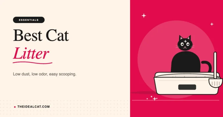 best cat litter