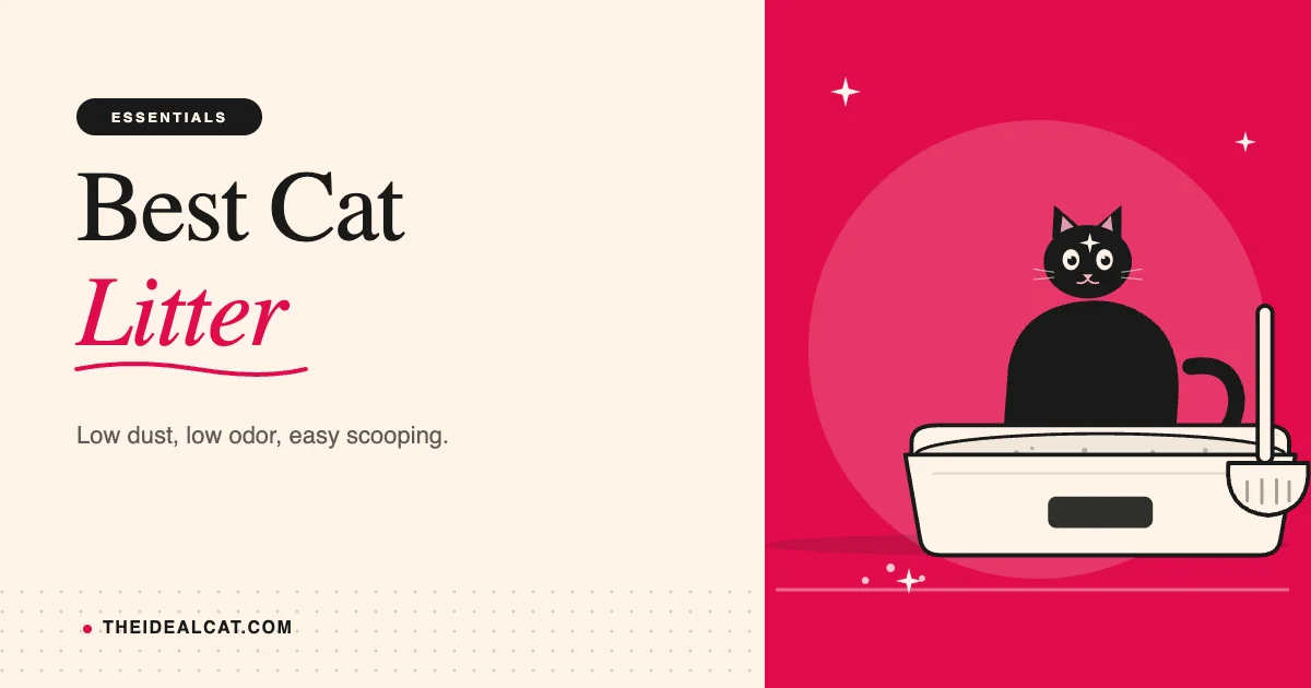 best cat litter