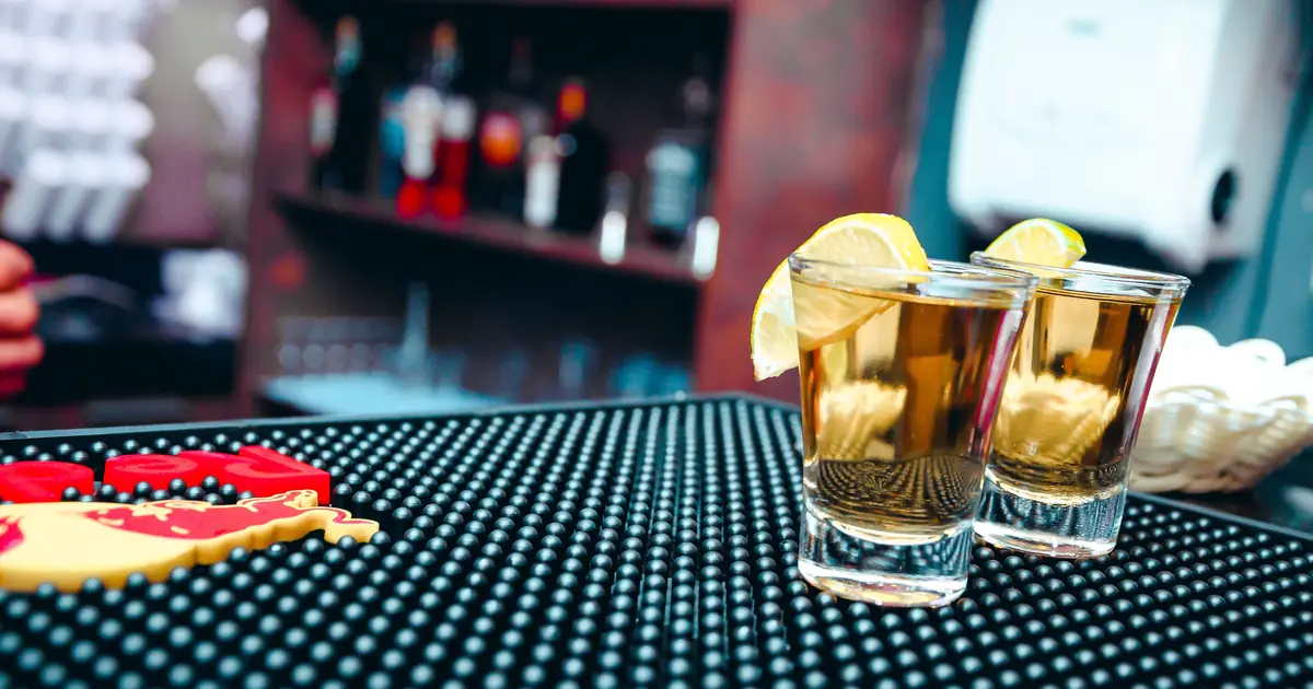 a cat near an alcoholic drink
