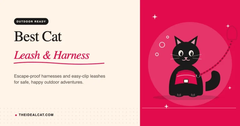 best cat leash