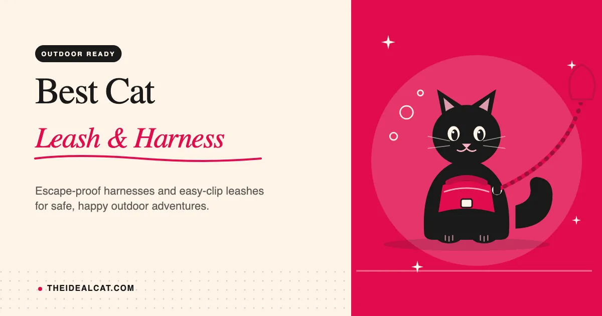 best cat leash