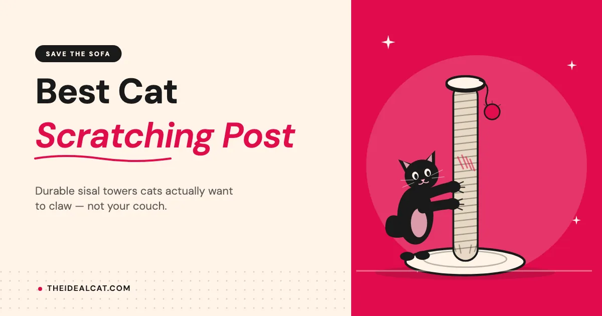 best cat scratching post
