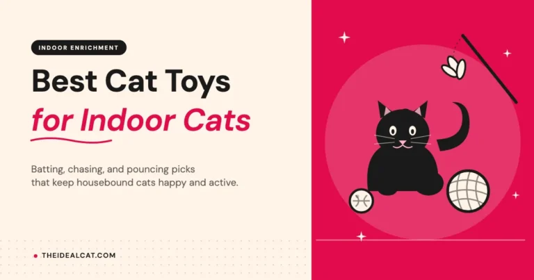 best cat toys for indoor cats