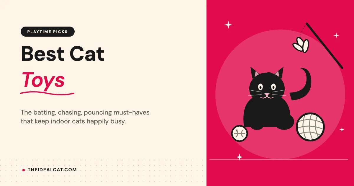 best cat toys