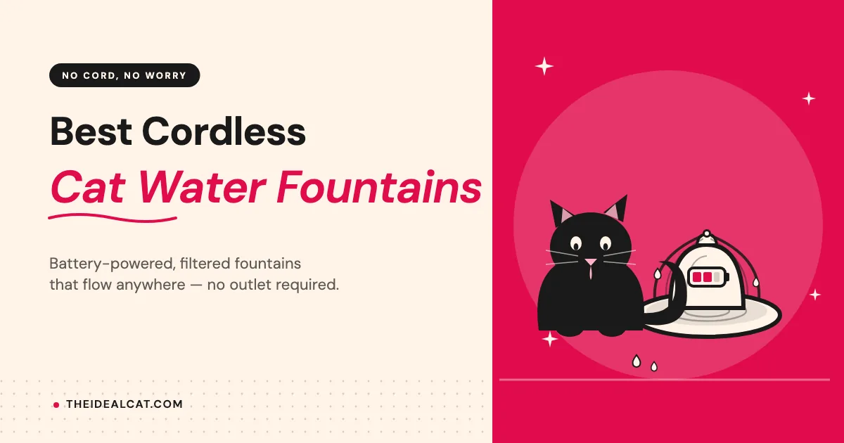 best cordless cat water fountain