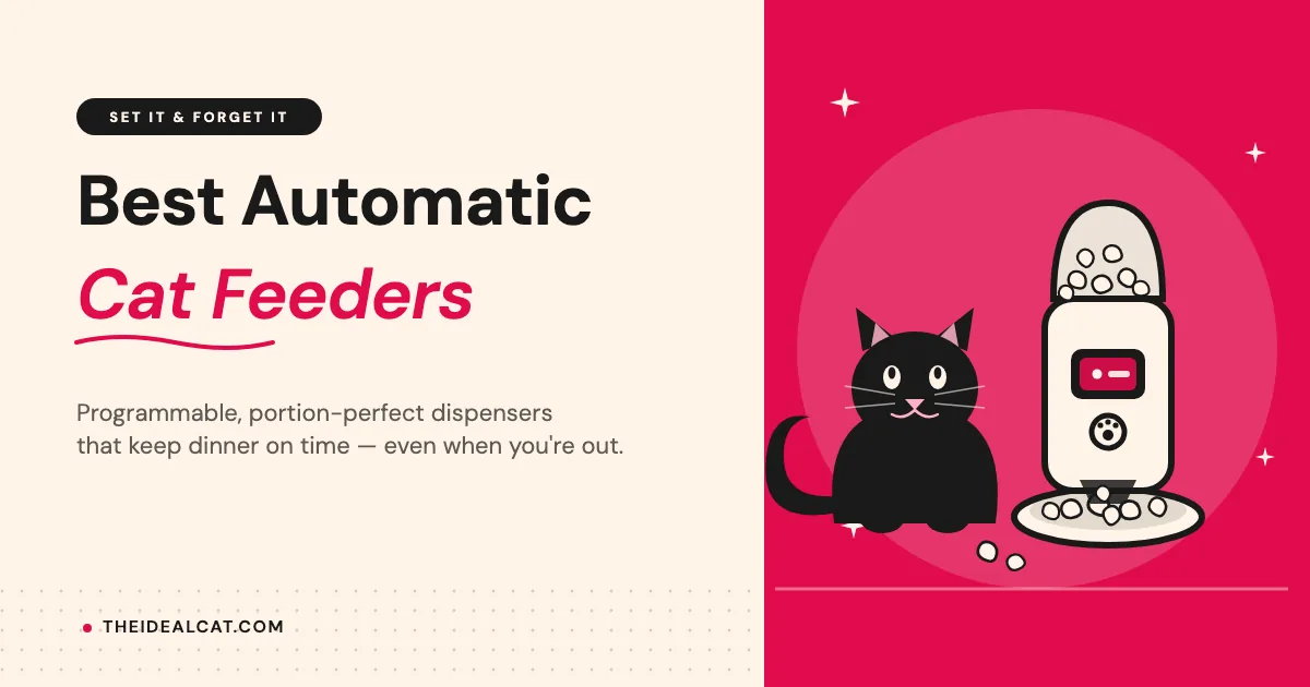 best automatic cat feeder