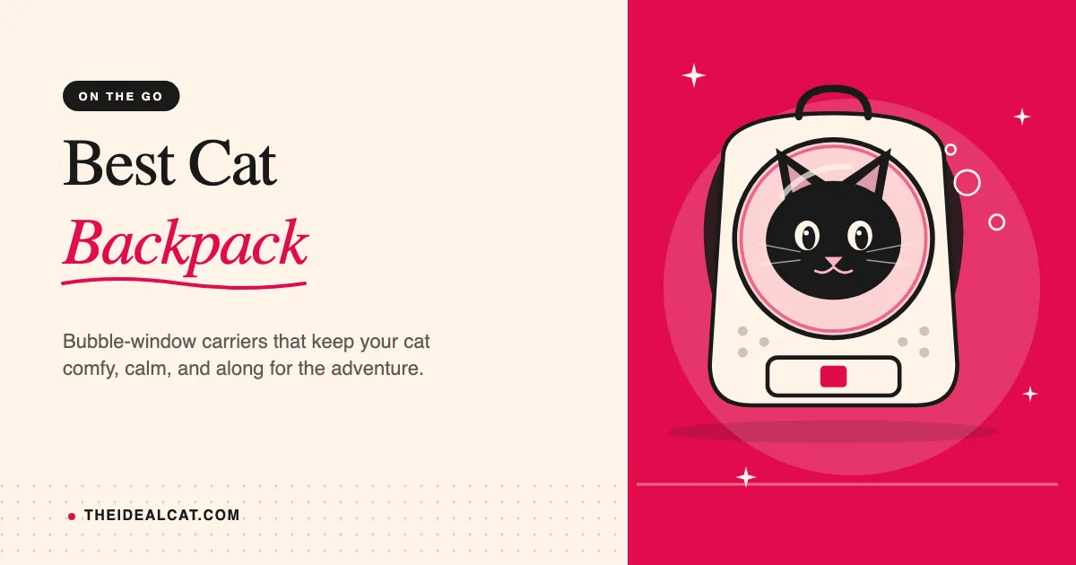 best cat backpack