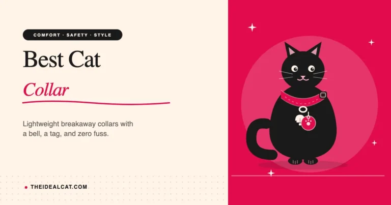 best cat collar