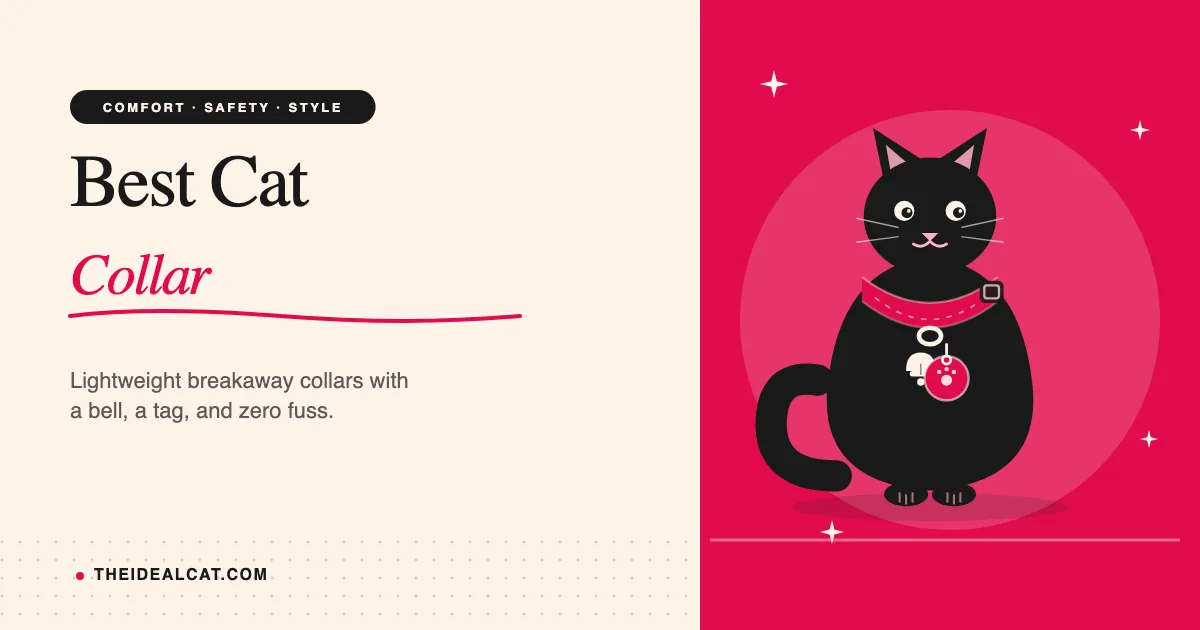best cat collar