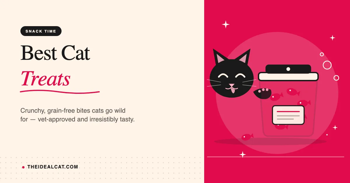 best cat treats