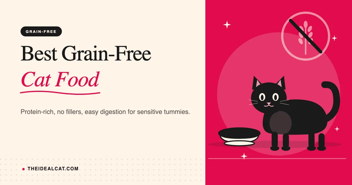 best grain free cat food