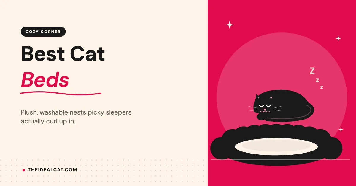 best cat beds