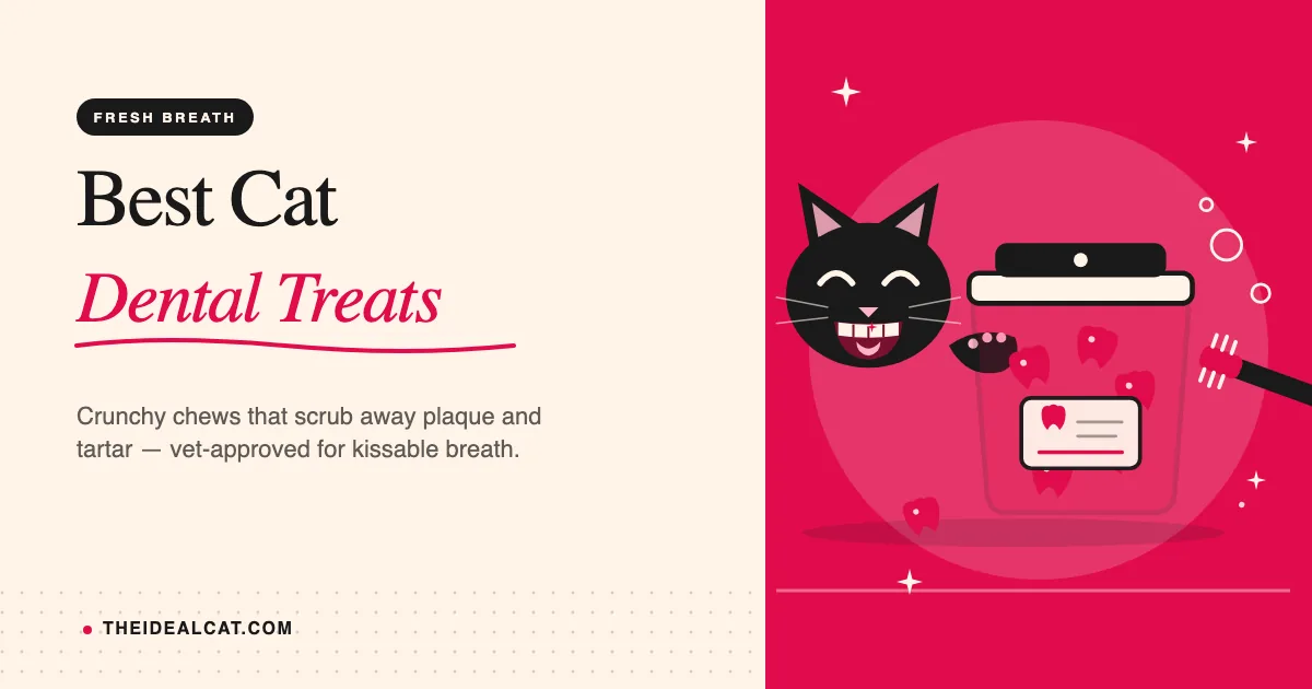 best cat dental treats