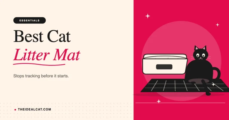 best cat litter mat