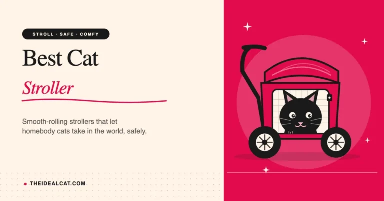 best cat stroller