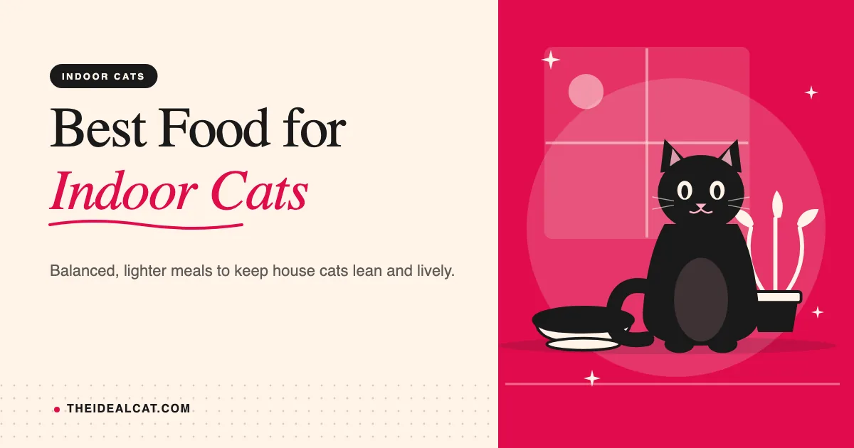 best indoor cat food