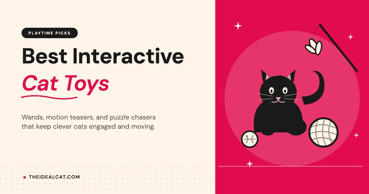 best interactive cat toys