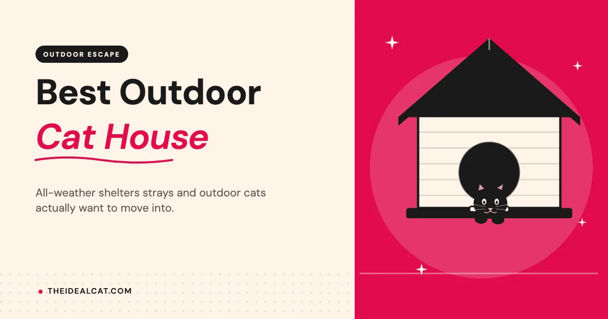 best outdoor cat house