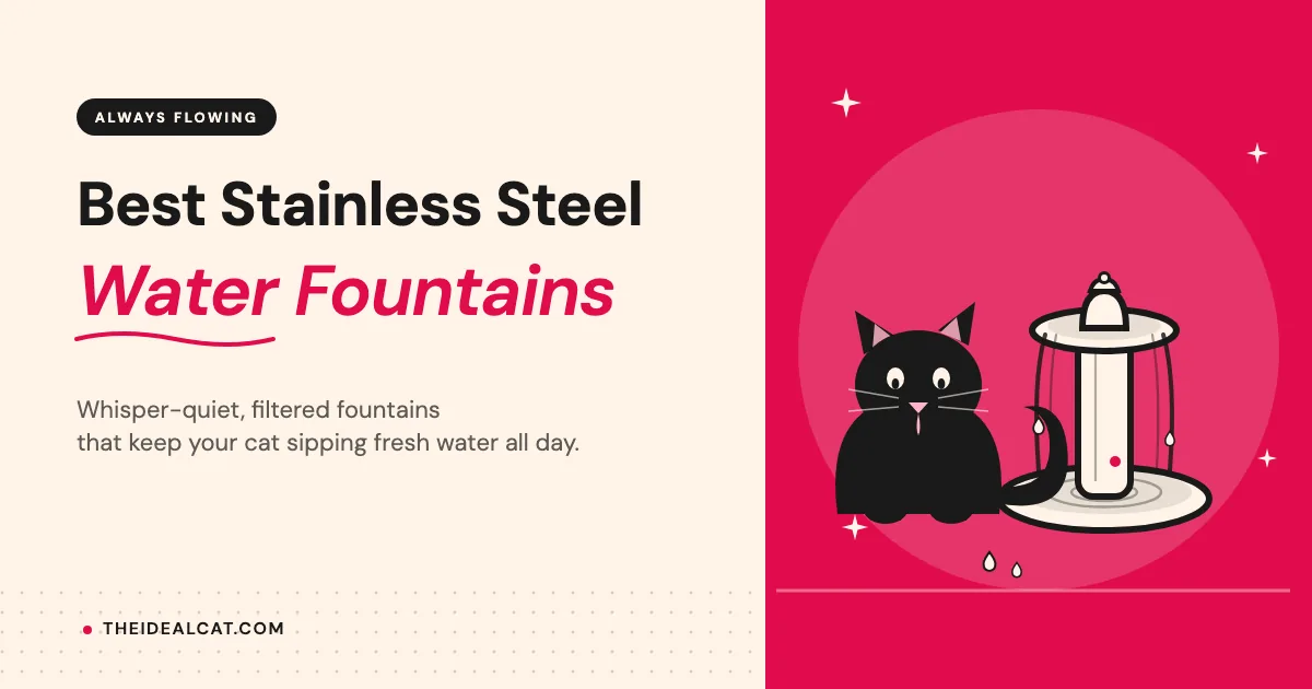 best stainless steel cat water fountain