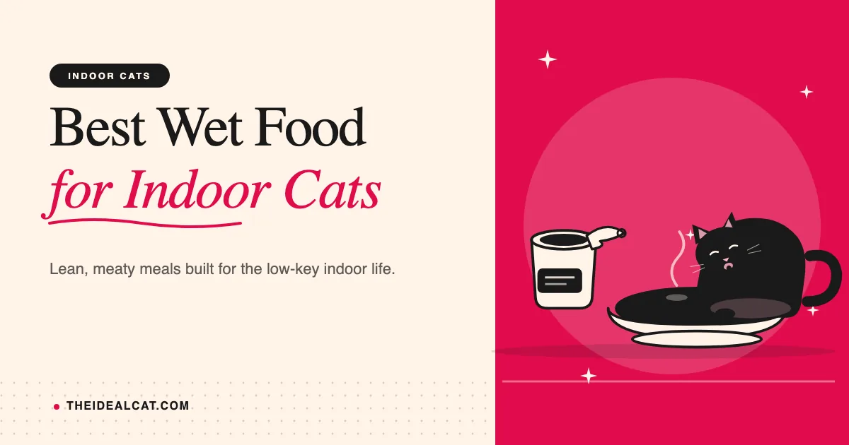 best wet cat food for indoor cats