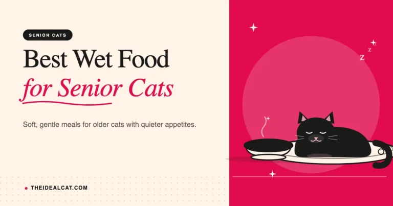 best wet cat food for senior cats