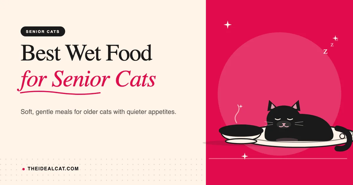 best wet cat food for senior cats