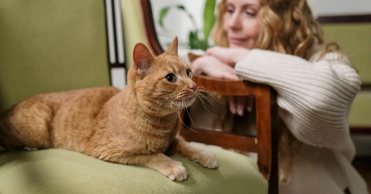 how long does it take for a cat to learn its name