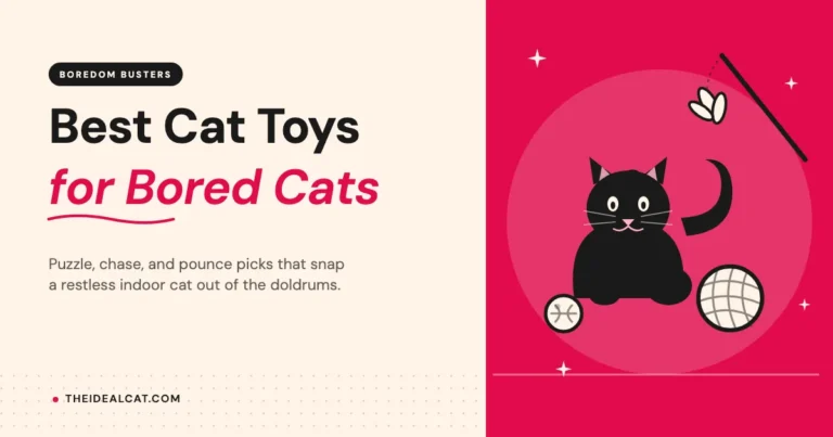 best cat toys for bored cats