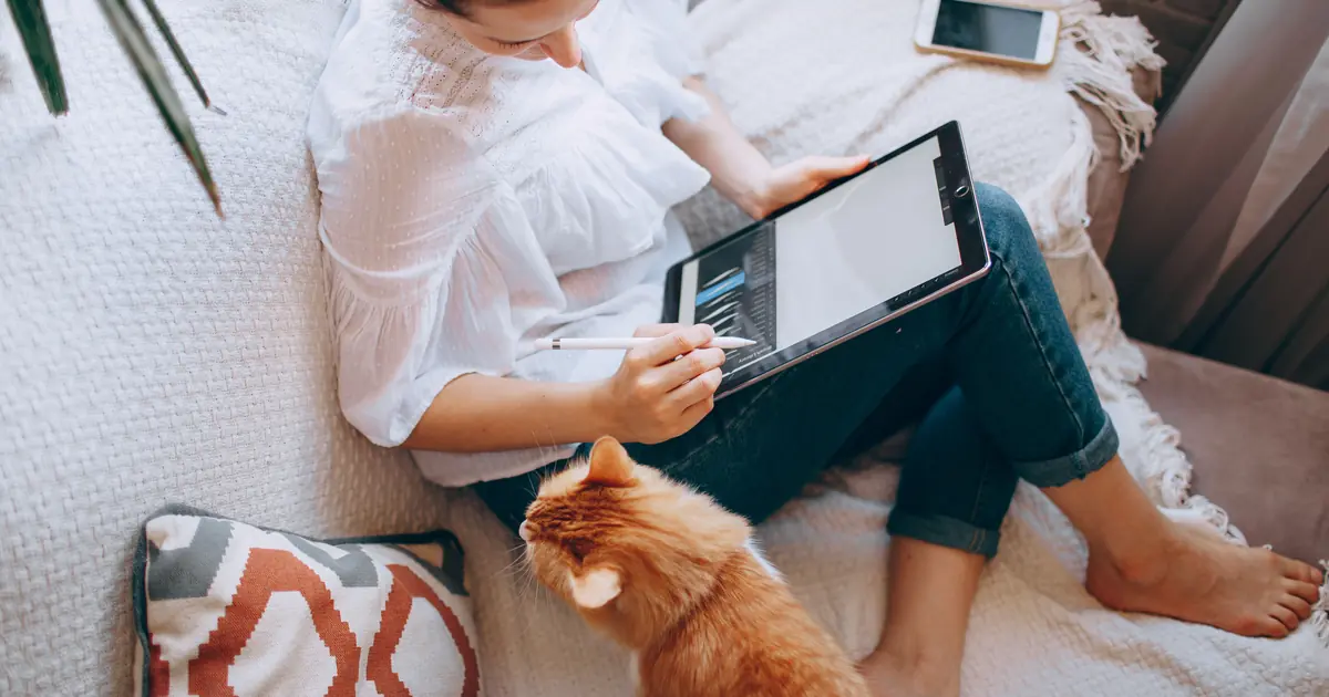 do cats like being talked to